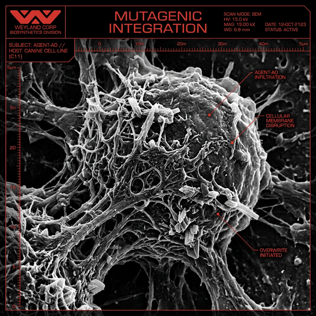 Mutagenic Integration Microscopy